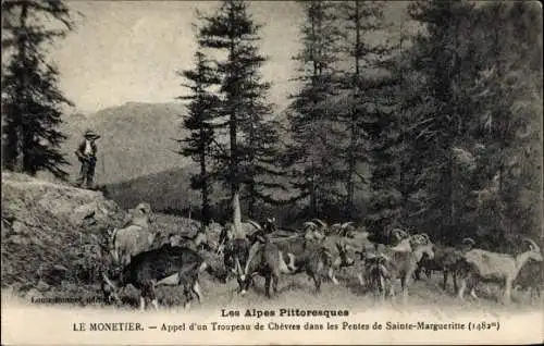 Ak Monêtier les Bains Hautes Alpes, Ruf einer Ziegenherde auf den Pisten