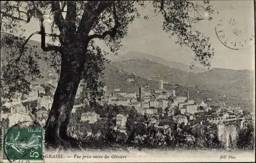 Postkarte Grasse Alpes Maritimes, Blick zwischen Olivenbäumen