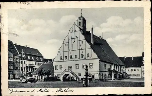 Ak Grimma in Sachsen, Rathaus, Brunnen