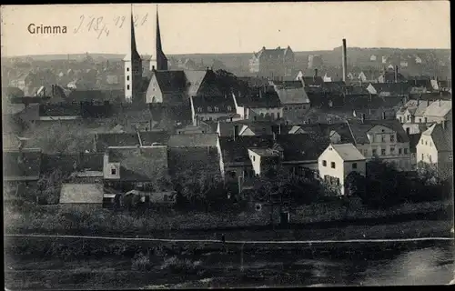 Ak Grimma in Sachsen, Gesamtansicht, Kirche
