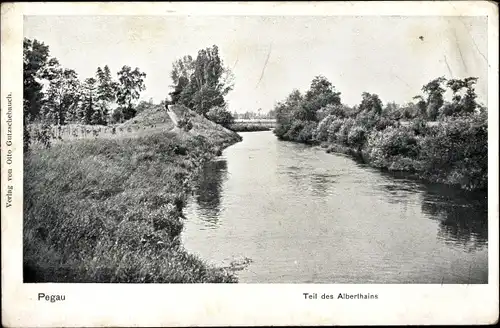 Ak Pegau in Sachsen, Alberthain