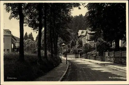 Ak Ilmenau Thüringen, Waldstraße, Villen