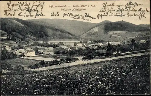 Ak Pflanzwirbach Rudolstadt in Thüringen, Gesamtansicht