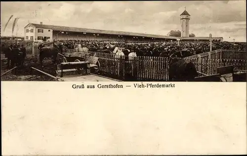 Ak Gersthofen in Schwaben, Viehmarkt, Pferdemarkt