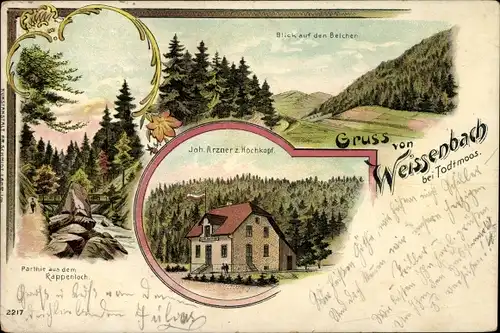 Litho Weißenbach Todtnau im Schwarzwald, Rappenloch, Zum Hochkopf, Blick zum Belchen