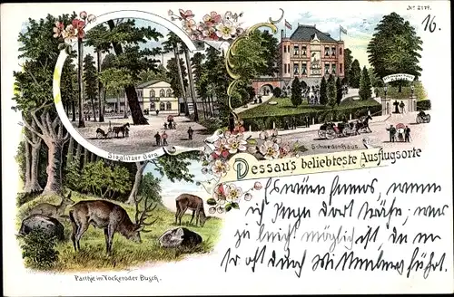 Litho Dessau in Sachsen Anhalt, Schwedenhaus, Sieglitzer Berg, Hirsche