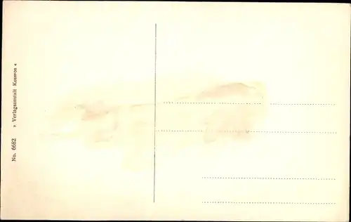 Ak Halberstadt am Harz, Kaiserstraße