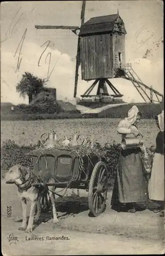 Ak Flämische Milchfrauen, Hundekarren, Windmühle