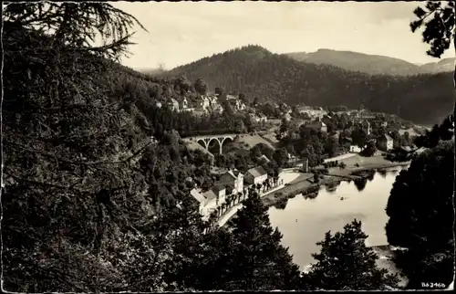 Ak Ziegenrück an der Saale, Viadukt, Panorama