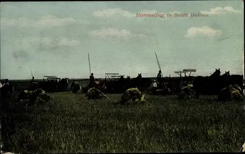 Ak South Dakota USA, Ernte, Bauernhof