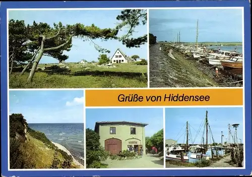 Ak Neuendorf auf der Insel Hiddensee, Windflüchter, Seglerhafen am Schwarzen Peter, Kloster