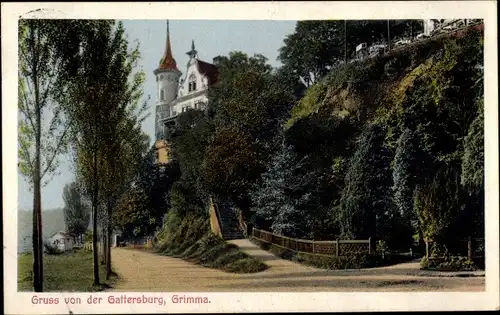 Ak Grimma in Sachsen, Gattersburg
