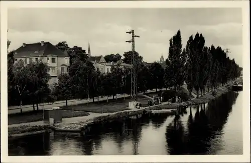 Ak Alsleben an der Saale, Blick von der Saalebrücke