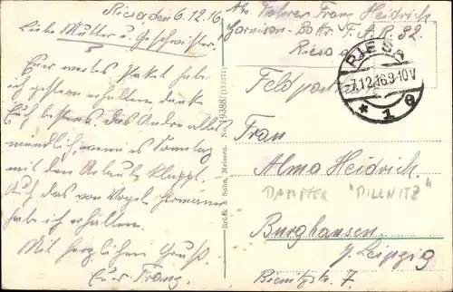 Ak Riesa an der Elbe Sachsen, Dampfer Pillnitz