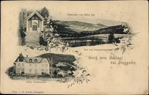 Ak Schlagl in Niederösterreich, Panorama vom Hotel Westermaier aus, Rax und Schneeberggebiet