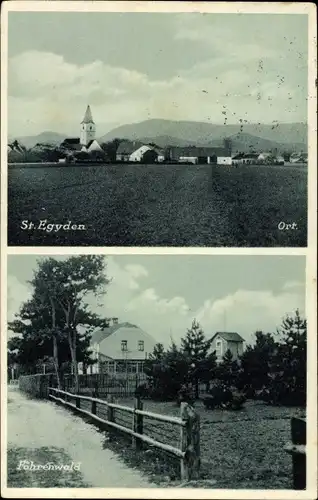 Ak St. Egyden am Steinfeld in Niederösterreich, Blick vom Feld auf die Ortschaft, Föhrenwald