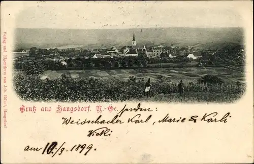 Ak Langsdorf in Niederösterreich, Blick auf Ortschaft und Umgebung