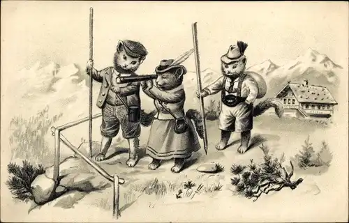Litho Vermenschlichte Katzen als Wanderer im Gebirge, Fernrohr