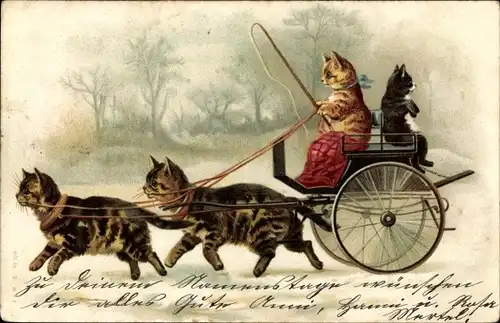 Künstler Ak Vermenschlichte Katzen, Kutsche