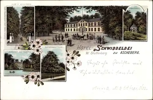 Litho Ascheberg in Schleswig Holstein, Schloss Ascheberg, Riesenkastanie, Hotel Schwiddeldei