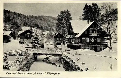 Ak Międzygórze Wölfelsgrund Niederschlesien, Hotel und Pension Waldhaus, Winteransicht