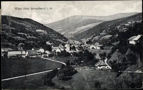 Ak Wies Kleines Wiesental im Schwarzwald, Panorama
