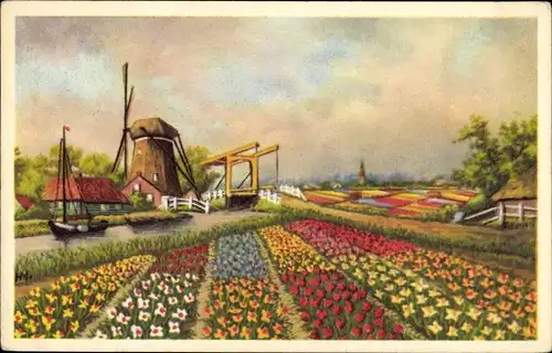 Ak Niederlande, Landschaft mit Blumenfeldern und Windmühle