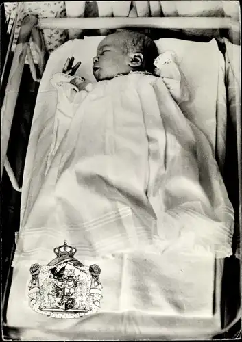 Ak Prinz Willem-Alexander, Adel Niederlande