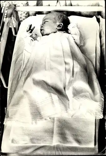 Ak Prinz Willem-Alexander, Adel Niederlande