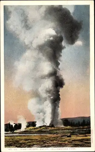 AK Wyoming USA, Yellowstone-Nationalpark, Giant Geyser