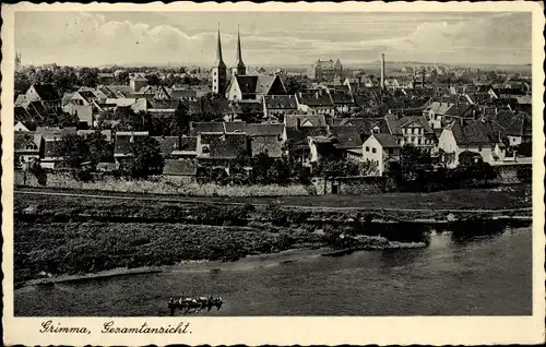 Ak Grimma in Sachsen, Panorama, Kirche