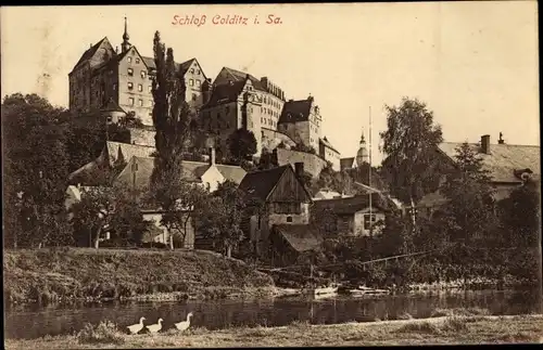 Ak Colditz in Sachsen, Schloss, Ufer der Mulde