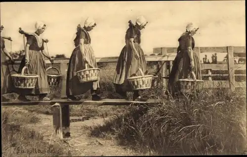 Ak Zeeland Niederlande, Going to Market, Tracht