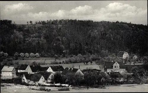 Ak Sautzschen Haynsburg Wetterzeube im Burgenlandkreis, Ortsansicht