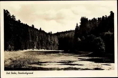 Ak Bad Berka in Thüringen, Dambachgrund