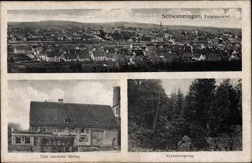 Ak Villingen Schwenningen im Schwarzwald, Cafe, Neckarursprung, Totalansicht