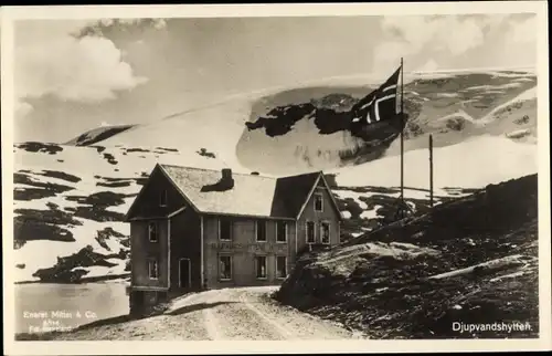 Ak Norwegen, Djupvandshytten, Gebäude, Fahne