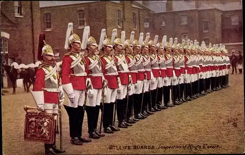 Ak Life Guards, Inspektion von King's Escort