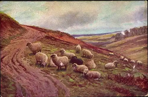 Künstler Ak Landschaft mit Schafen