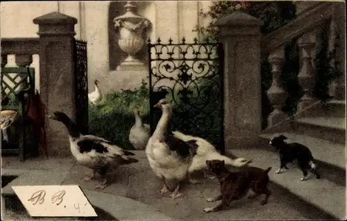 Künstler Ak Gänse an Treppe, Hunde