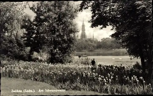 Ak Zwickau in Sachsen, Schwanenteich