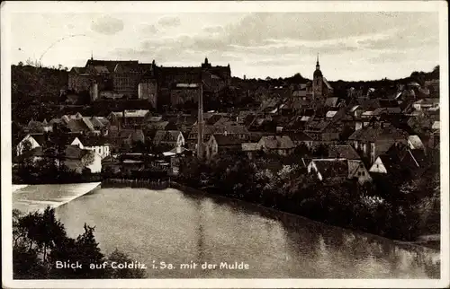 Ak Colditz in Sachsen, Gesamtansicht, Mulde