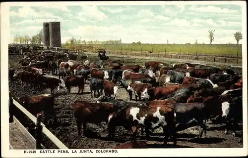 Ak La Junta Colorado, Cattle Pens