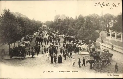 Ak Arras Pas de Calais, Gesamtansicht des Pferdemarktes, Pferdemarkt