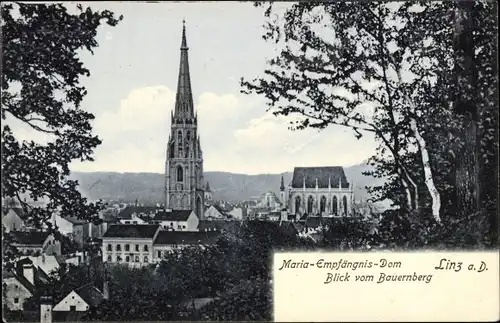 Ak Linz an der Donau Oberösterreich, Maria Empfängnis Dom, Blick vom Bauernberg