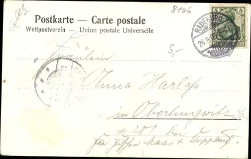 Ak Radeburg in Sachsen, Panorama