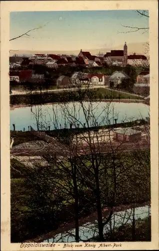 Ak Dippoldiswalde in Sachsen, König Albert Park