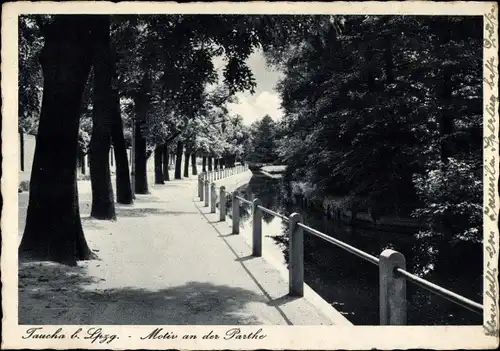 Ak Taucha in Nordsachsen, An der Parthe