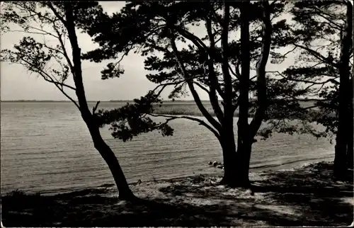 Ak Kolberg Heidesee, Badestrand am Wolziger See