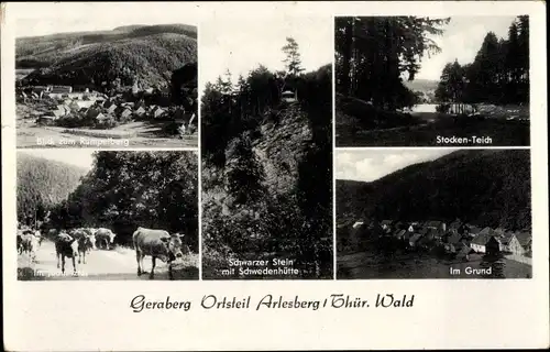 Ak Arlesberg Geraberg in Thüringen, Stocken-Teich, Grund, Schwarzer Stein, Schwedenhütte